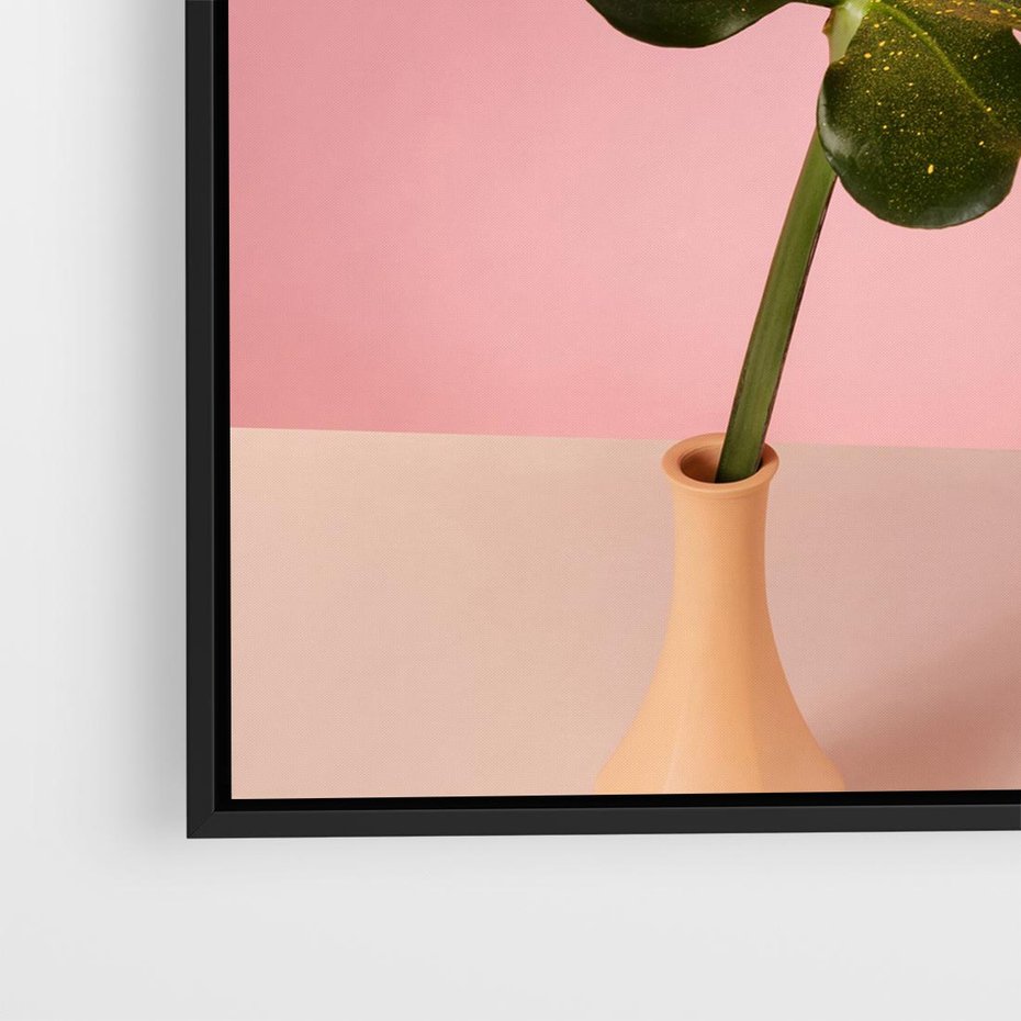 Obraz w ramie 50x50 - Egzotyczna monstera - monstera, liść - rama czarna