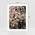 Plakat bez ramy 30x40 - Sukulentowa Prostota - sukulenty, zielone liście