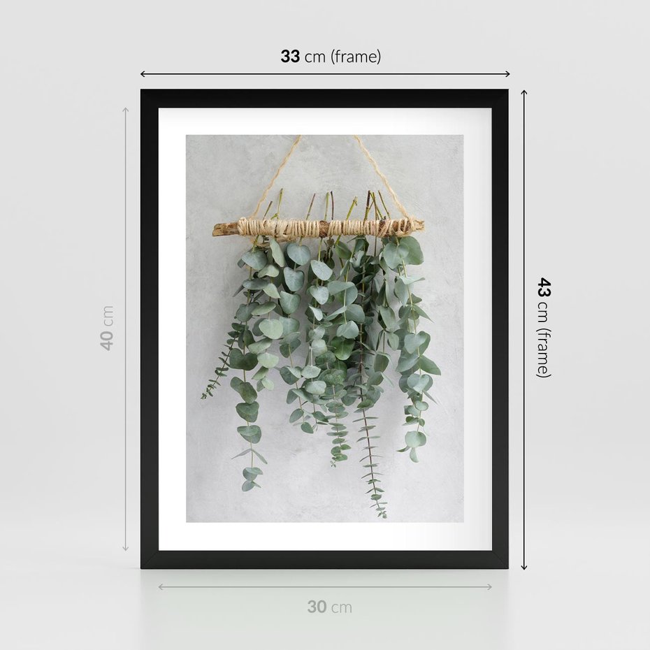 Plakat w ramie 30x40 - Uwodzicielska zieleń eukaliptusa - eukaliptus, zielone - rama czarna