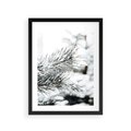 Plakat w ramie 30x40 - Chwila Zimowej Magii - iglasta gałązka, śnieg - rama czarna