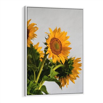 Obraz w ramie 80x120 - Słoneczna Radość - fotografia, żółte słoneczniki - rama biała
