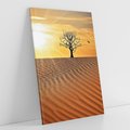 Obraz na płótnie 70x100 - Pustynia - Drzewo i słońce - pustynia, drzewo