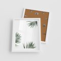 Plakat w ramie 40x50 - Liście Palmy na Czystym Tle - liście palmy, białe tło - rama biała