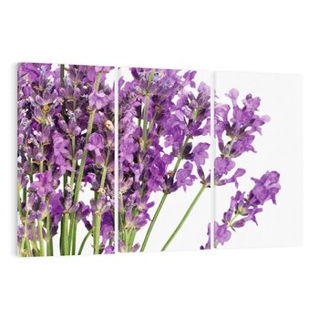 Obraz na płótnie 120x80 - Pola lawendy w pełnym rozkwicie - lawenda, kwiaty