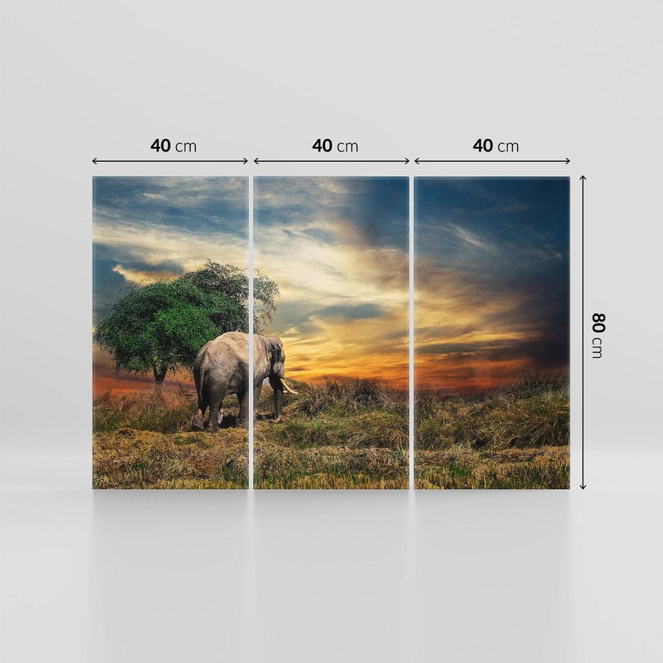 Obraz na płótnie 120x80 - Potęga słonia na afrykańskiej sawannie - słoń, sawanna