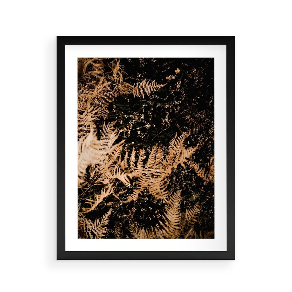 Plakat w ramie 40x50 - Jesienne Paprocie: Kolorowa Paleta Natury - paprocie, jesień - rama czarna