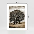 Plakat bez ramy 30x40 - Spokojna Osamotniona Chwila - beżowe kolory, samotne drzewo na polu