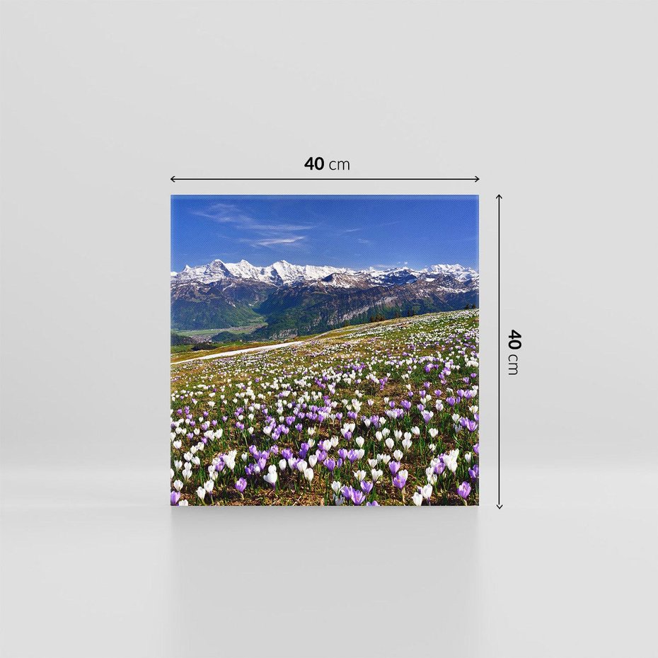 Obraz na płótnie 40x40 - Wiosenne Czarowanie - krokusy, góry