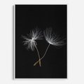 Obraz w ramie 50x70 - Delikatność Wiatru - dmuchawce, makro - rama biała