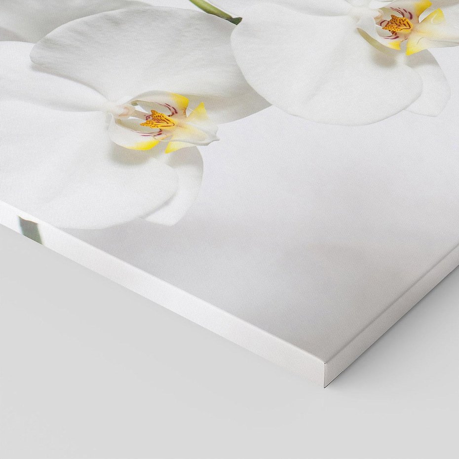 Obraz na płótnie 100x70 - Orchidea Kwiat - orchidea, kwiat