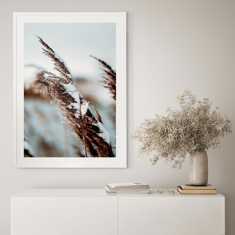 Plakat bez ramy 21x30 - Zima na Suchych Trawach - suche trawy, śnieg wysokich na trawach