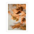 Plakat bez ramy 40x50 - Magia Jesieni - liście, jesień