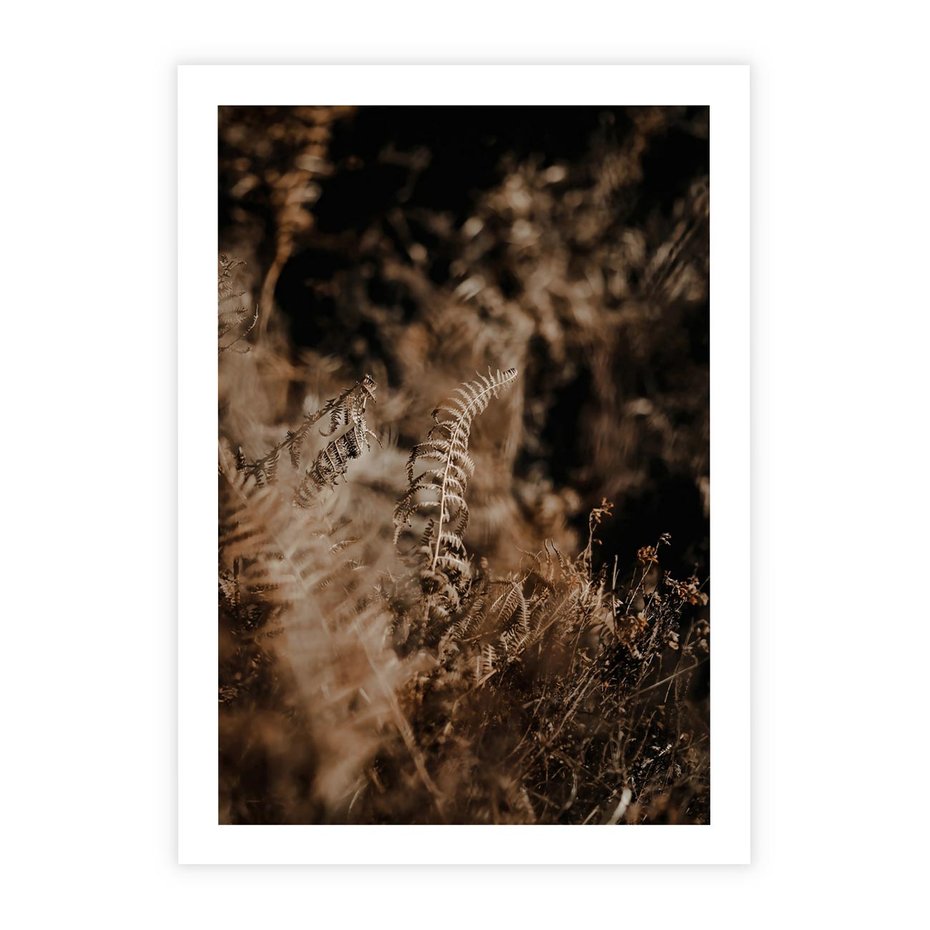 Plakat bez ramy 30x40 - Delikatne Detale - paprocie, brąz