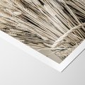 Plakat bez ramy 21x30 - Letni Plon - zboże, kłosy zboża