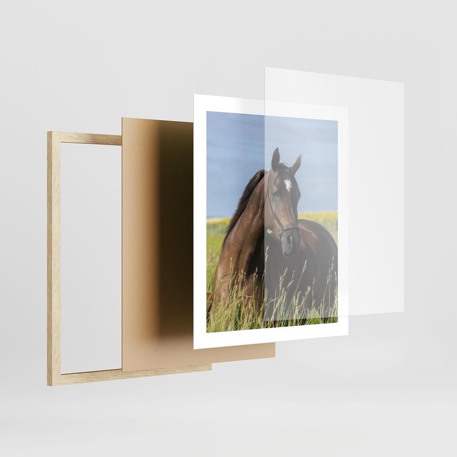 Plakat w ramie 40x50 - Siła i piękno natury - koń, łąka - rama drewno