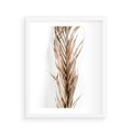 Plakat w ramie 40x50 - Minimalizm Palmowy: Sucha Uroda - sucha palma, minimalizm - rama biała