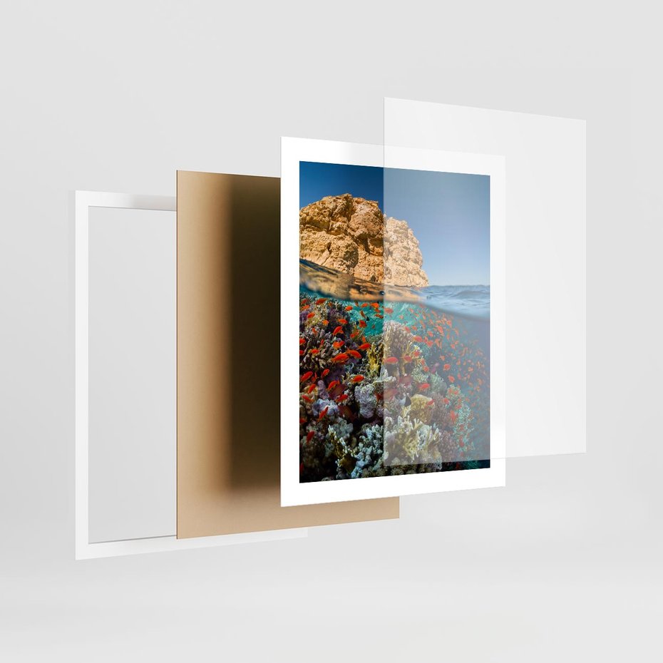 Plakat w ramie 40x50 - Rafa koralowa w oceanie - rafa, koralowa - rama biała