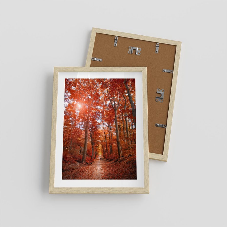 Plakat w ramie 30x40 - Magia jesiennego lasu - las, jesień - rama drewno