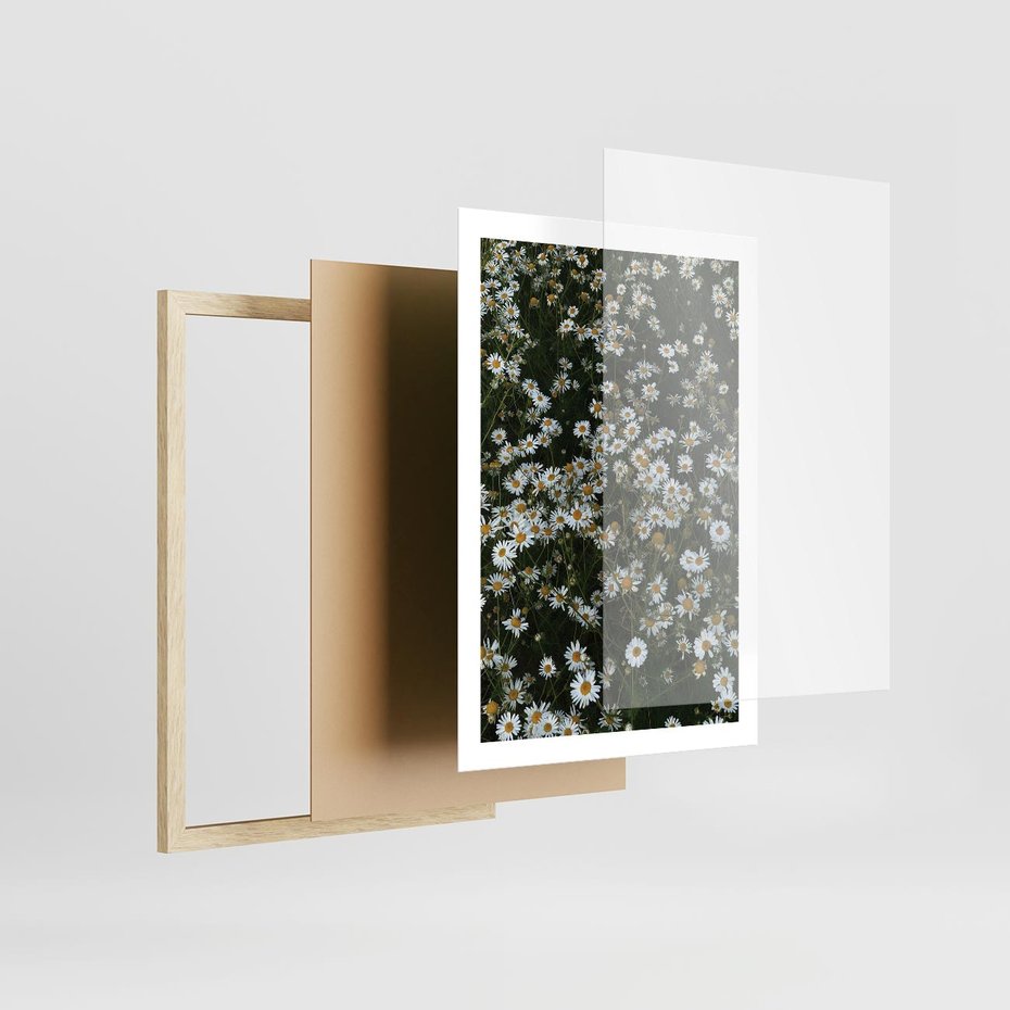 Plakat w ramie 50x70 - Stokrotkowa Idylla na Łące - łąka, stokrotki - rama drewno