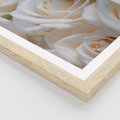 Plakat w ramie 30x40 - Białe róże piękności - białe, róże - rama drewno