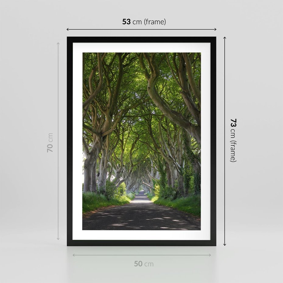 Plakat w ramie 50x70 - Magiczny Las - drzewa, las - rama czarna
