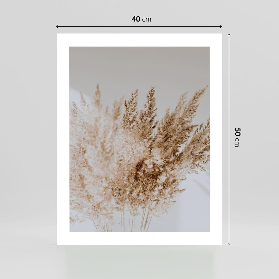 Plakat bez ramy 40x50 - Boho Urok Traw Pampasowych - suche trawy, pampas