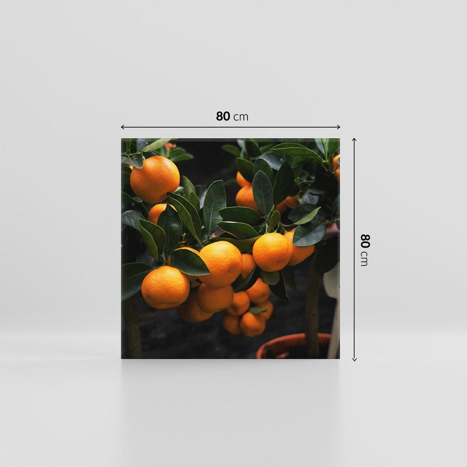 Obraz na płótnie 80x80 - Mandarynki Drzewko Urodzaju - mandarynki, drzewko