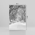 Obraz na płótnie 80x120 - cisza wśród drzew - zima, park