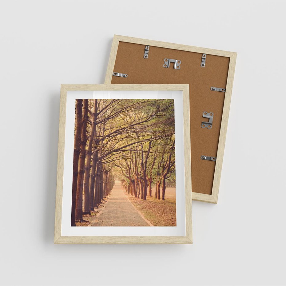 Plakat w ramie 40x50 - Wędrówka między drzewami - droga, drzewa - rama drewno