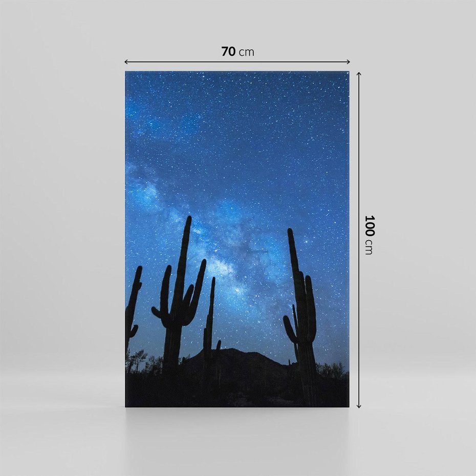 Obraz na płótnie 70x100 - Kaktusy - Niebo z gwiazdami - kaktusy, niebo