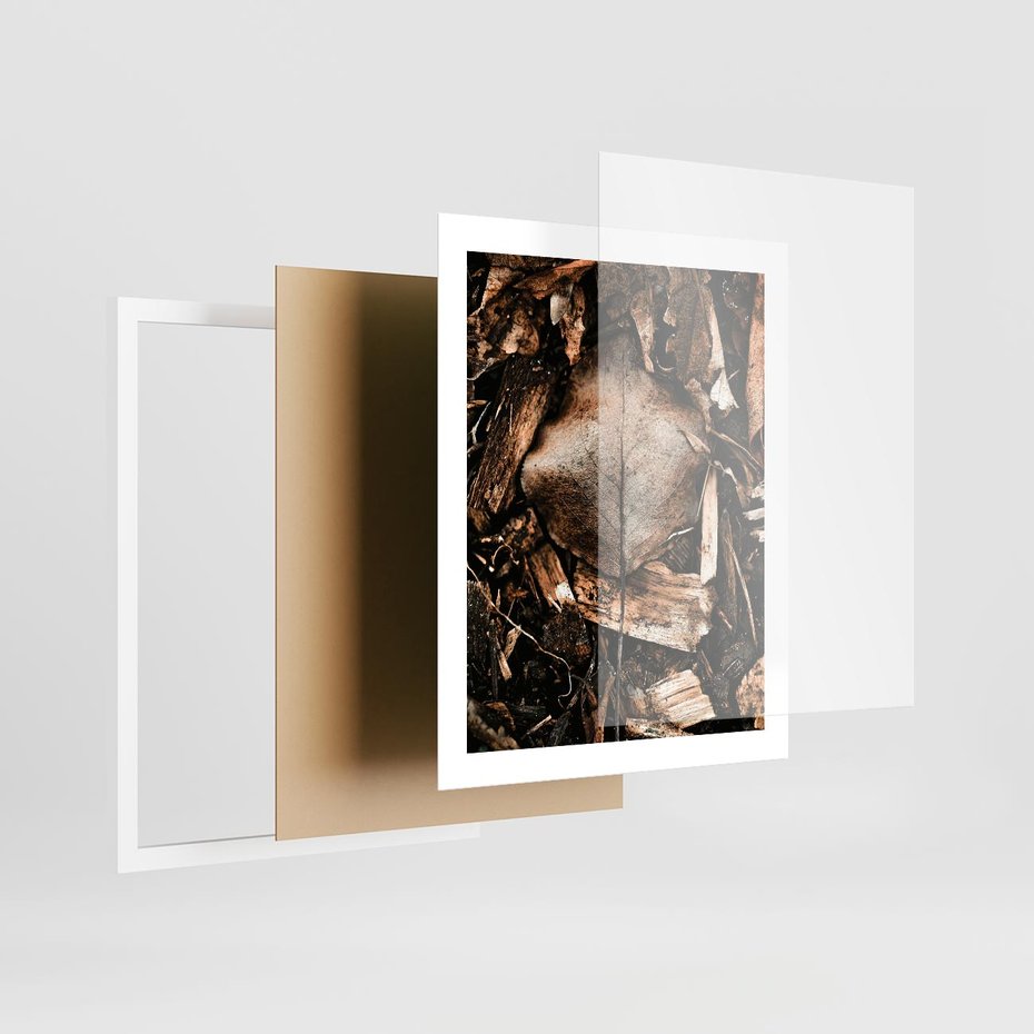 Plakat w ramie 40x50 - Samotny Liść - liść, brąz - rama biała