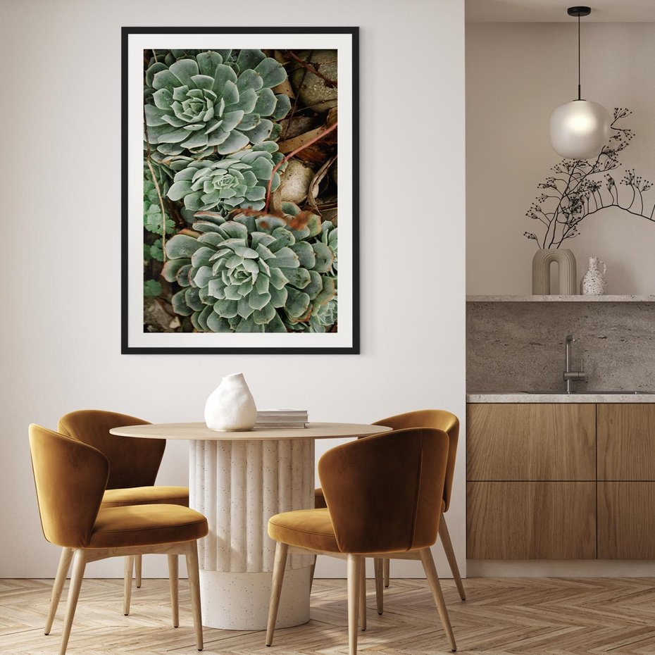 Plakat w ramie 30x40 - Zielona Uroda Sukulentów - sukulenty, zielone liście - rama czarna