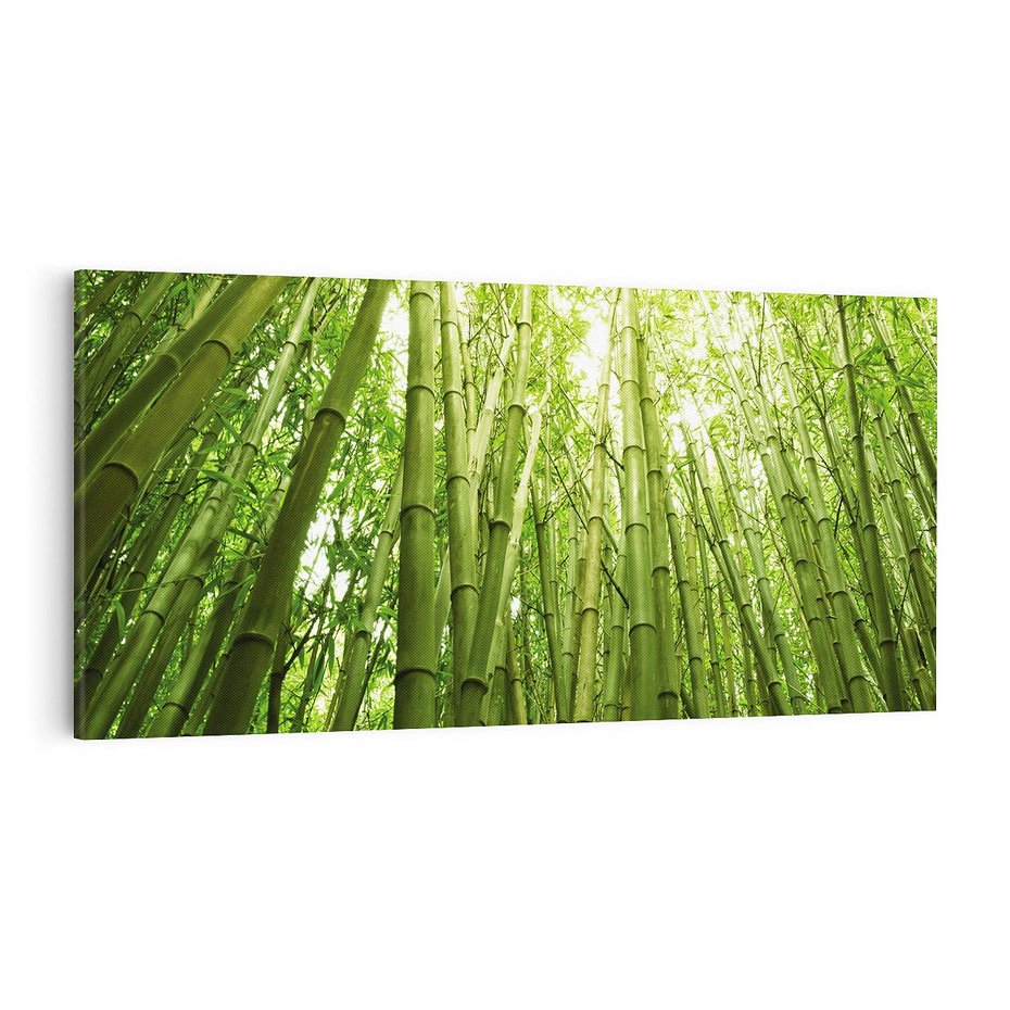 Obraz na płótnie 100x50 - Siła Natury - drzewa, las