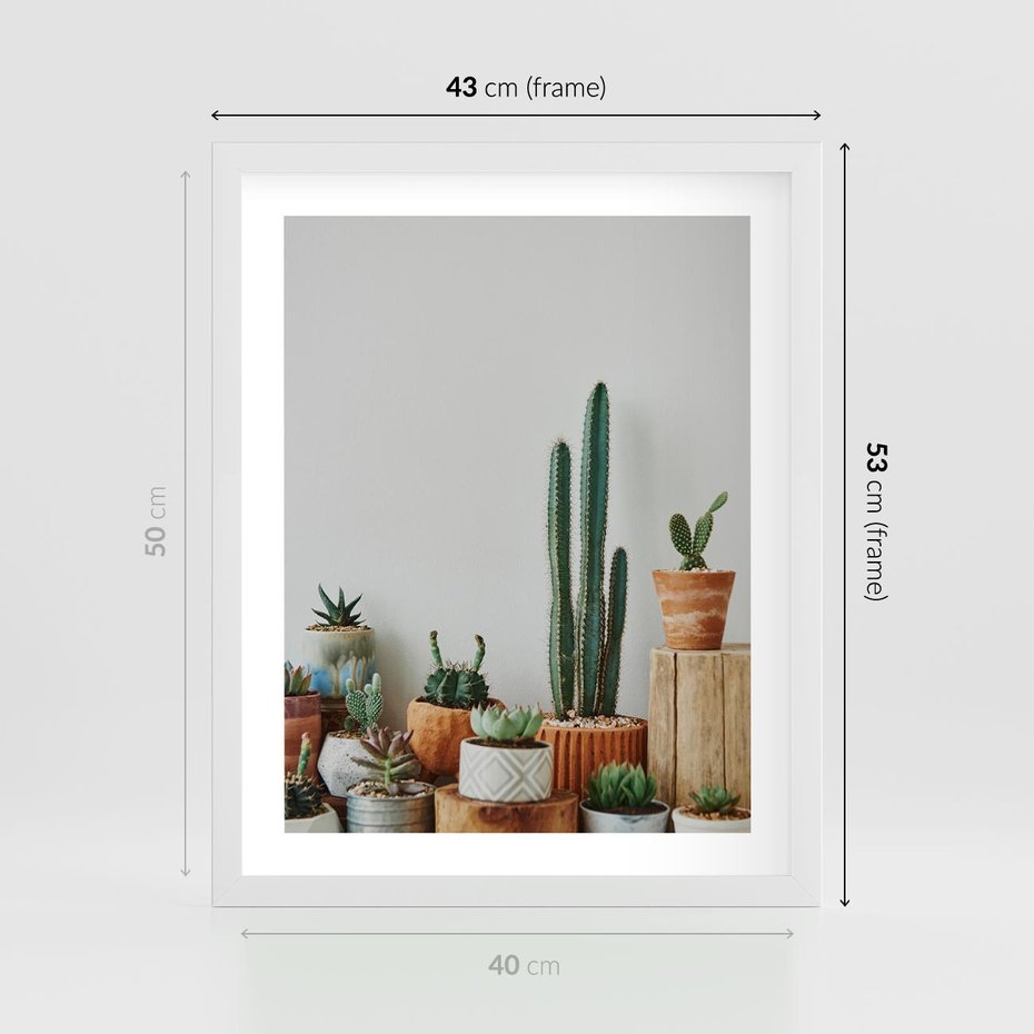 Plakat w ramie 40x50 - Naturalna Harmonia - kaktusy, liście - rama biała