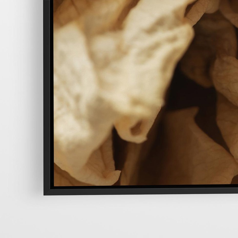 Obraz w ramie 100x70 - Zjawiskowe zasuszone kwiaty - zasuszone, kwiaty - rama czarna