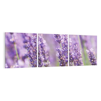 Obraz na płótnie 120x40 - Urok lawendy - lawenda, kwiaty