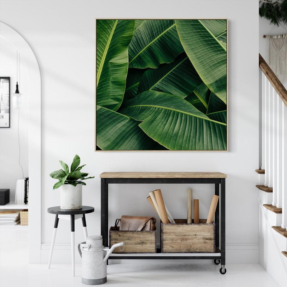 Obraz w ramie 80x80 - Zaklęta roślinna ekspresja - liście bananowca, gęsto ułożone - rama drewno