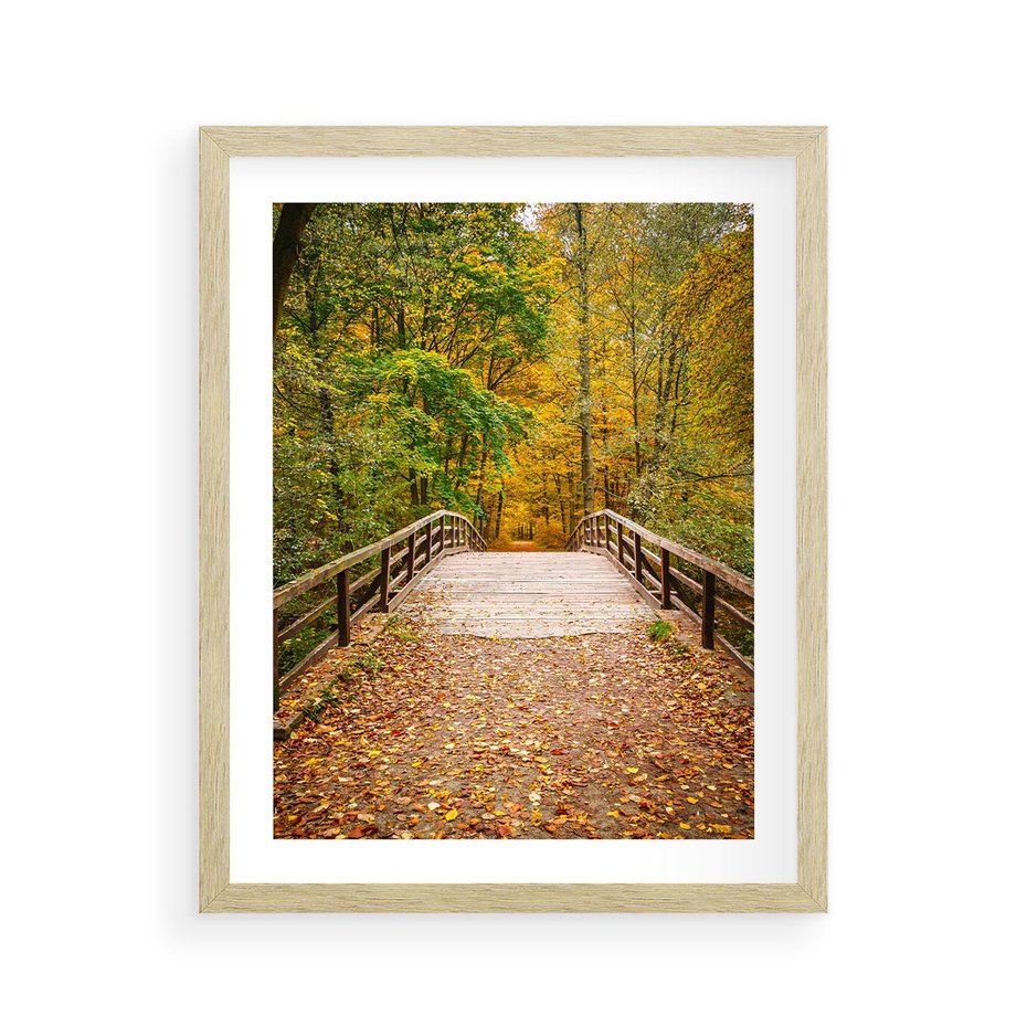 Plakat w ramie 40x50 - Spacer Ścieżką w Las - ścieżka, spacer - rama drewno