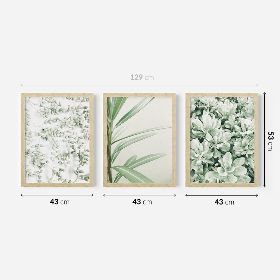 Zestaw obrazy w ramie 40x50 galeria - Liście, zieleń, minimalizm - rama drewno