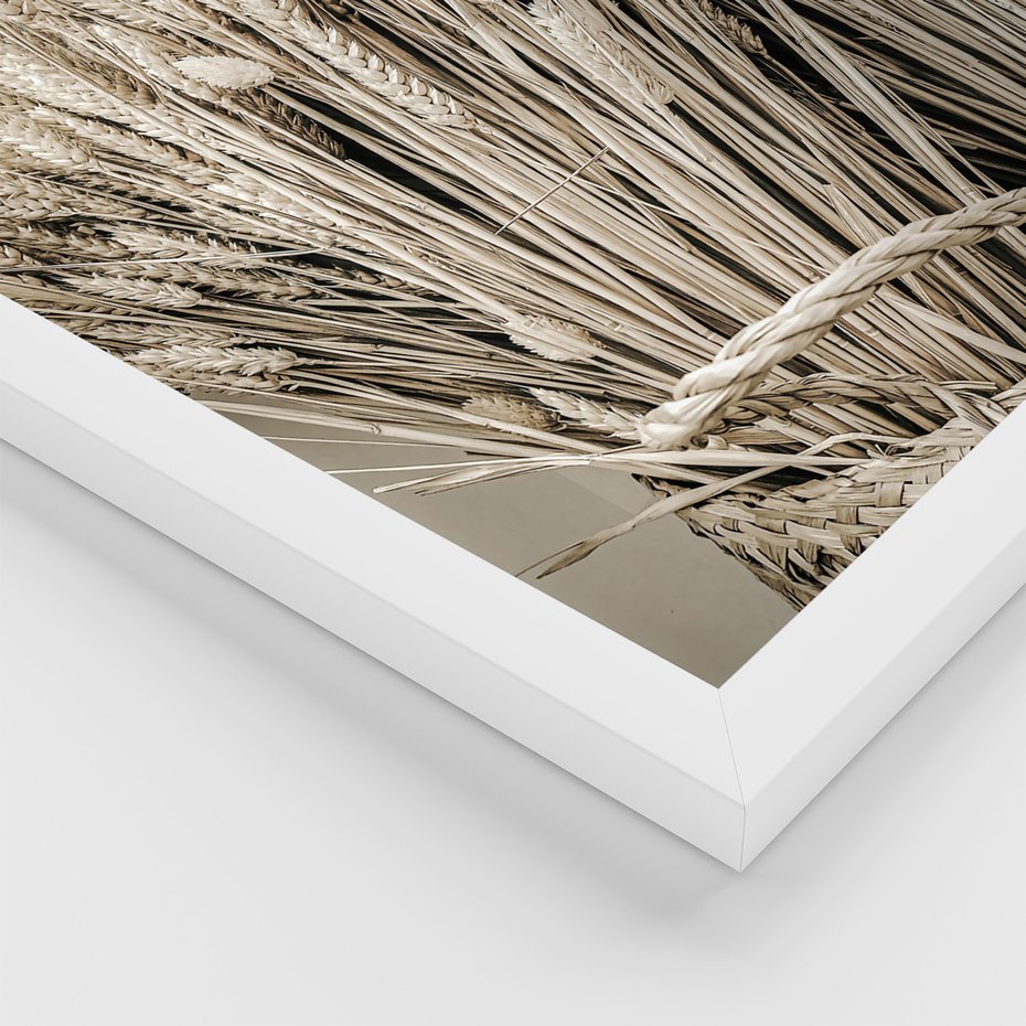 Zestaw obrazy w ramie 50x70 galeria - Sepia, krajobraz, wiejski, pole - rama biała