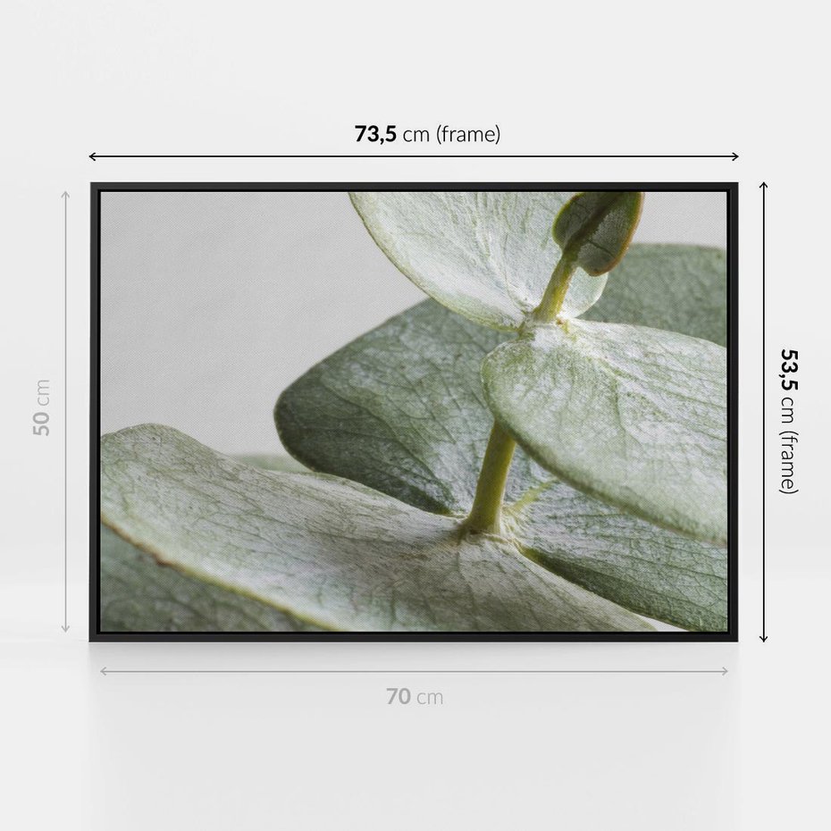 Obraz w ramie 70x50 - Eukaliptusowa zieleń - eukaliptus, zielone - rama czarna