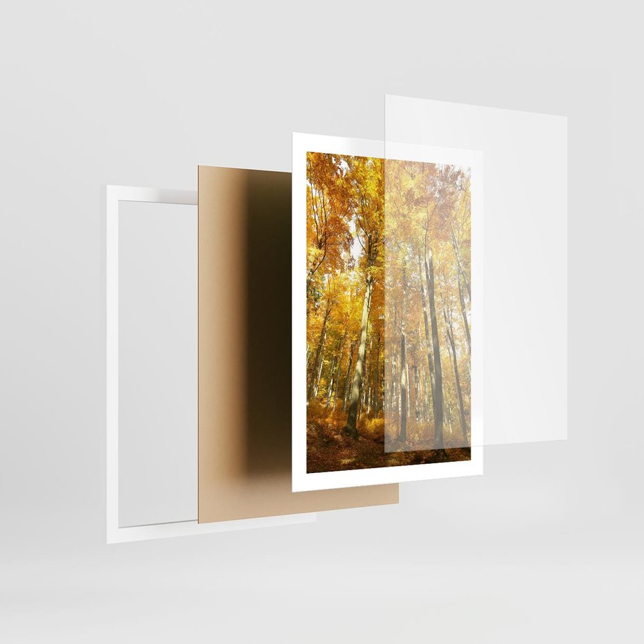 Plakat w ramie 50x70 - Jesienny Las - Kolorowa Paleta Natury - jesień, drzewa - rama biała