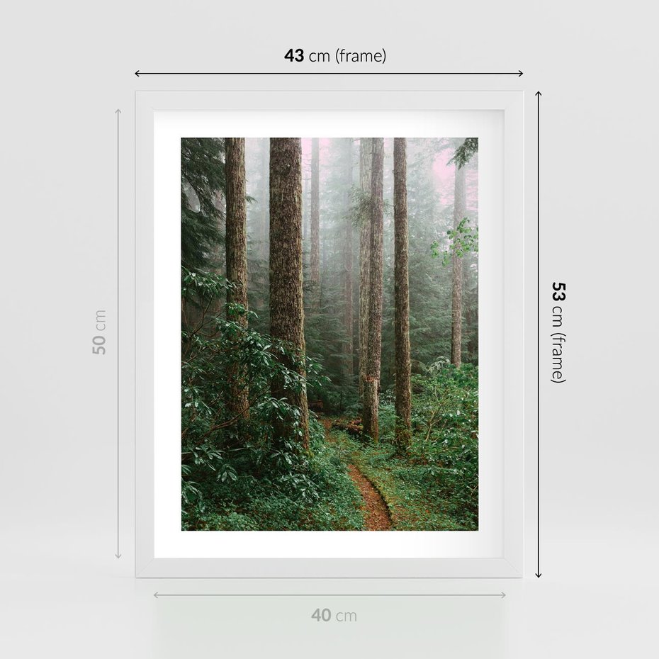 Plakat w ramie 40x50 - Mgliste Marzenia - artystyczna fotografia, las - rama biała
