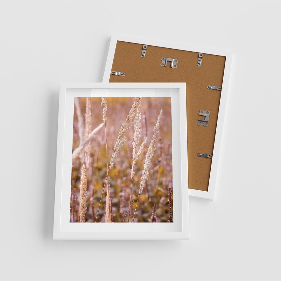 Plakat w ramie 40x50 - Sucha Trawa w Sierpniu - trawy, łąka - rama biała