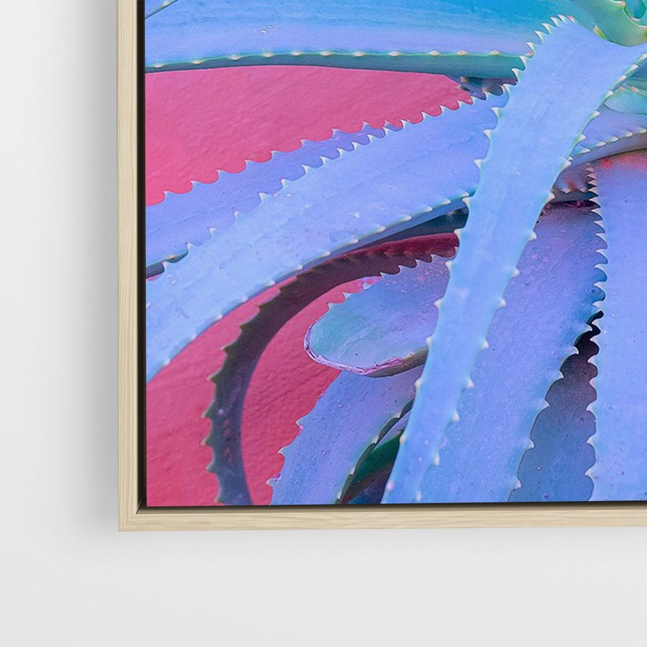 Obraz w ramie 80x120 - Piękno Pustyni - kaktusy, liście - rama drewno