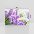 Obraz na płótnie 120x80 - Delikatny liliowy dotyk - lilie, fiolet