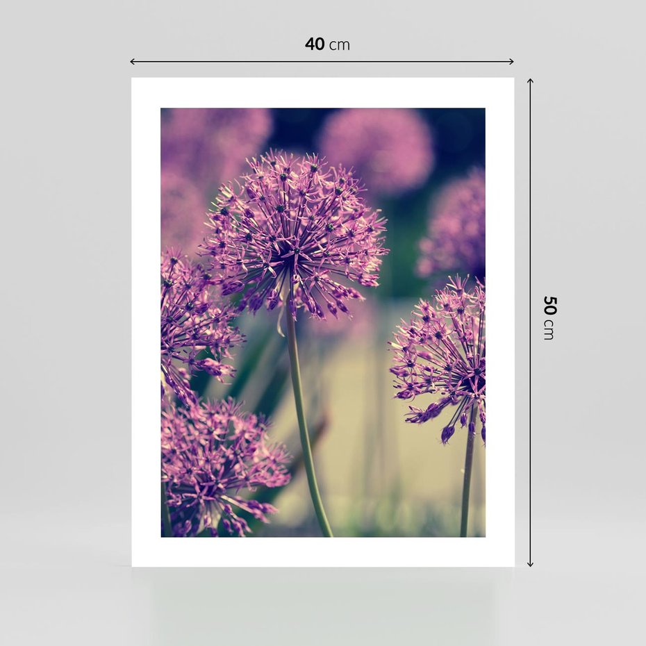 Plakat bez ramy 40x50 - Kwiatowa łąka w pełnym rozkwicie - kwiaty, łąka