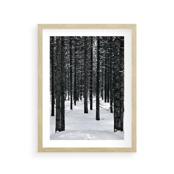 Plakat w ramie 40x50 - Zimowe Drzewa: Śnieg na Pniach - drzew w zimi, pnie drzew - rama drewno