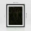Plakat w ramie 40x50 - Ciemny las iglasty - las, iglasty - rama czarna