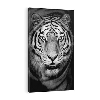 Obraz na płótnie 80x120 - Tygrys Czarno-Biały: Siła i Delikatność - tygrys, czarno